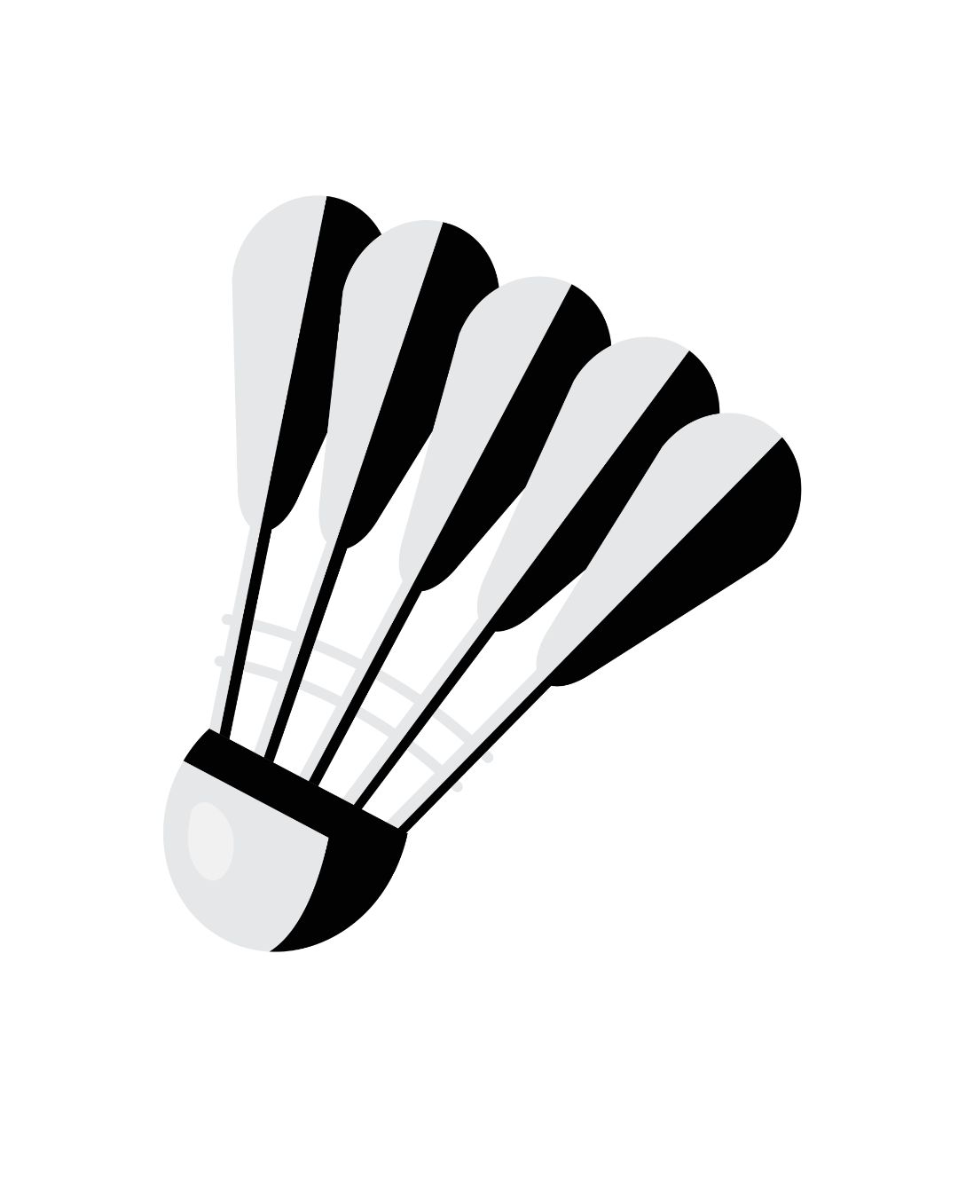 Badminton 2026/2027 - Fun Erwachsene